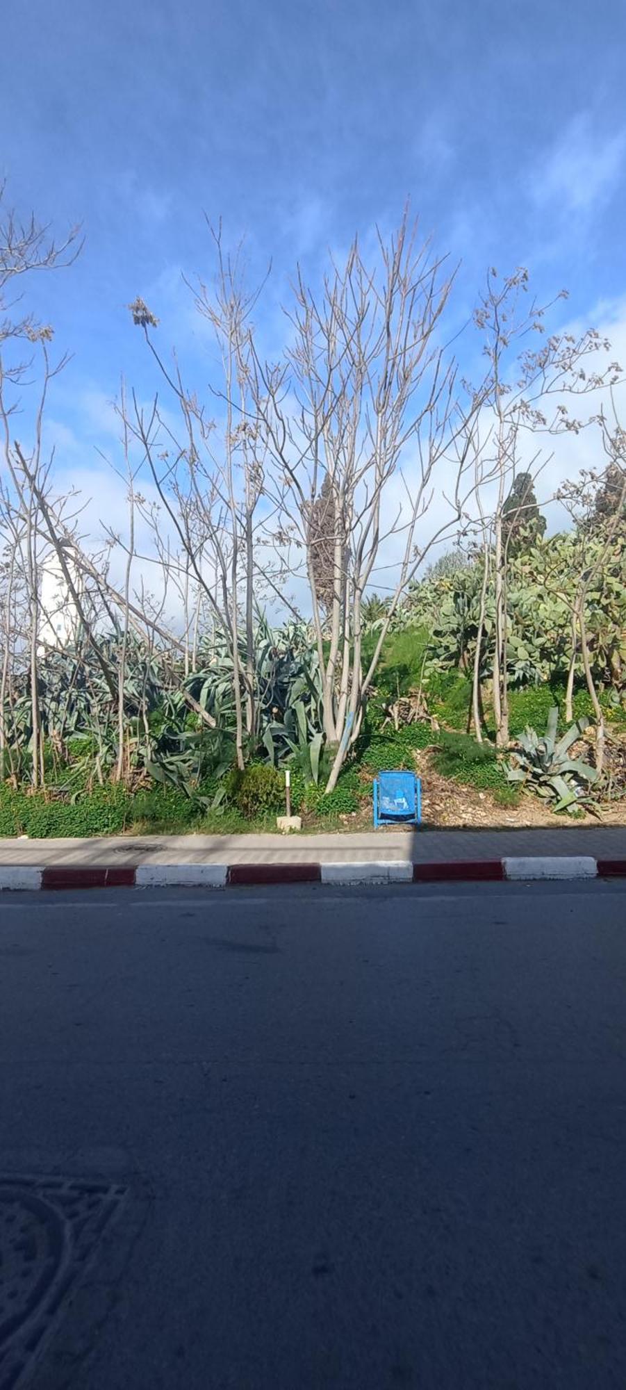 Jolie Maison Au Centre De Sidi Bou Said Exterior foto
